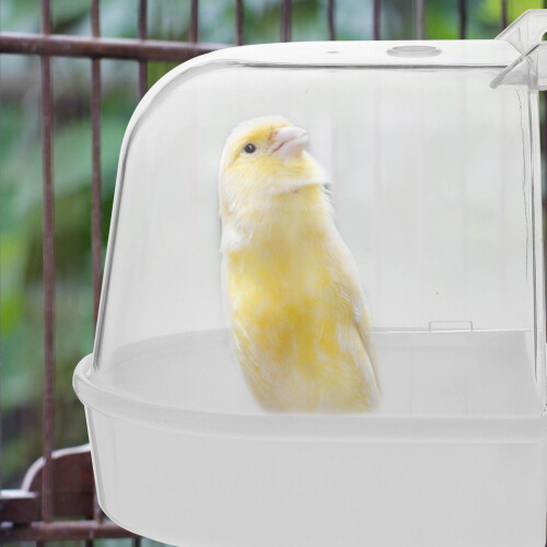 White Parrot Bathing Tub Hanging Design 2-Pack 2