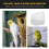 White Parrot Bathing Tub Hanging Design 2-Pack 5