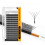 (8 12 Mix) 5-Leaf Clover Lashes - Soft Band Easy Apply Eye Makeup 1