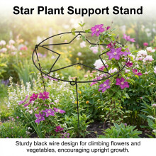 (Black Star Stand) Iron Plant Trellis for Strawberry Climbing