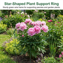 (Green Star Stand) Iron Plant Trellis for Strawberry Climbing