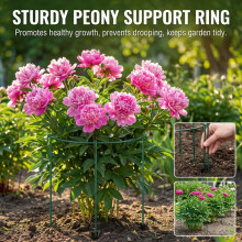 (Round Stand) Iron Plant Trellis for Strawberry Climbing