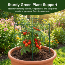 (Round Stand) Iron Plant Trellis for Strawberry Climbing