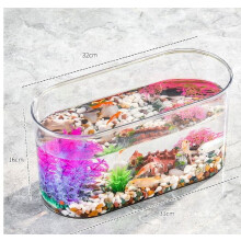 Oval 12" Plastic Betta Fish Tank – Transparent Desktop Bowl for Fish, Turtle, Shrimp, Crab – Compatible with Small Pets