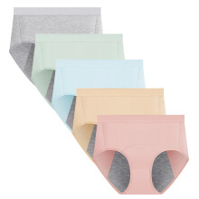 Women's Menstrual Period Panties Cotton Leakproof Underwear Protection Briefs 5 Pack