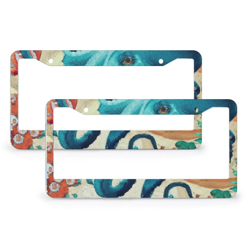 Octopus Nautical License Plate Frame 2-Pack Â Aluminum, Compatible With Us Standard Plates 9401284804666