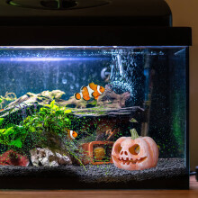Escondite de calabaza de resina naranja para acuario, decoración para pecera, refugio subacuático para peces.