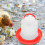 Chicken Feeding Box Poultry Food Container 1 Set 2