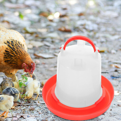 Chicken Feeding Box Poultry Food Container 1 Set 1