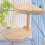 Semicircular Wooden Hamster Platform with Adjustable Levels 1
