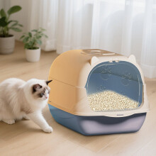 Fully Enclosed Cat Litter Box with Lid, 36x50x34 cm, Removable Lid, Oversized Plastic Litter Box for Cats