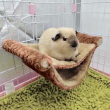 Zonao Small Pet Hammocks for Parrot Guinea Pig Ferret Squirrels Hamster Rats Playing Sleeping