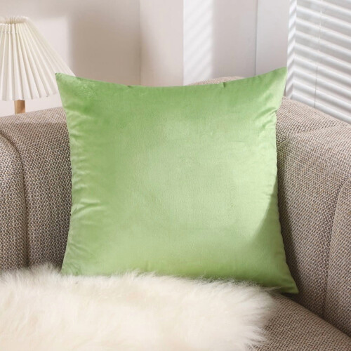Light Green Plush Throw Pillows 40x40cm with Polyester