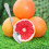 Stainless Steel Fruit Cutting Set Serrated Edge Comfortable Grip Home Use 2