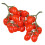 Artificial Cherry Tomatoes Model Red Foam 2pcs 4