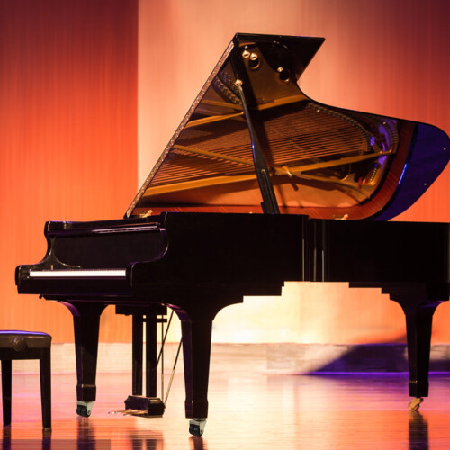 Ροδάκια Stri Piano Ροδάκια με διπλό τροχό Απαραίτητα αξεσουάρ πιάνου Ανταλλακτικά
