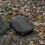 Camouflage Portable Stadium Seat Cushion 1 2