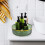 Household Cosmetic Tray Multi-function Cosmetic Tray Convenient Spice Holder Storage Tray 6
