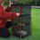 (red) Foldable Drying Net for Food, Anti-Insect 4