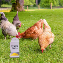 3D Printed Chicken Grit & Oyster Shell Feeder – Hanging, No-Waste Gravity Design for Coop, Compatible with Standard Systems