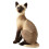 Gato de pelúcia da raça siamesa sentado, 25 cm (10 polegadas), com enchimento de alta densidade, ideal para crianças pequenas. 1