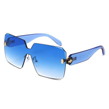 Γυαλιά ηλίου Street Grunge Polarized - Σκούροι φακοί που αγκαλιάζουν την αστική κομψότητα