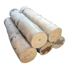 Large Birch Fireplace Log Set of Five
