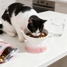 AuroraX No Spill Cat Bowls Elevated Ceramic Dog Bowl for Indoor Cat Dog,Travel Neck-friendly Tilted Cat Food Dish,Puppy Cat Dog Gifts