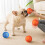Interactive Vibrating Dog Ball Toy with LED Light and 3