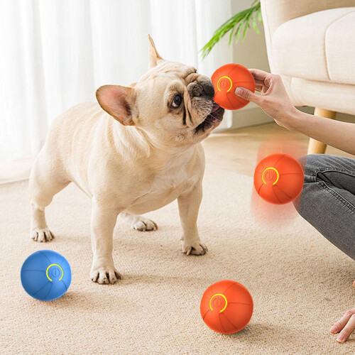 Interactive Vibrating Dog Ball Toy with LED Light and 2
