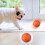 Interactive Vibrating Dog Ball Toy with LED Light and 6