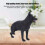 Hund Tiermodell, Kunststoff, 20cm, Dekoration 6