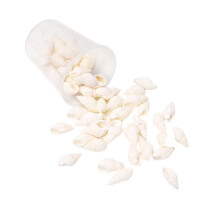 Natural Sea Seashells Craft Set Unique Seashells Projects Crafting Shells for Jewelry Decors and Artistic Creations