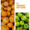 Fruit Picker Measurement Ring Plastic 2 pcs 8