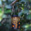Bird Feeder Weather Resistant 1 Piece 4