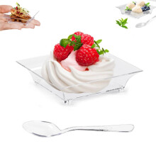 Plastic Dessert Plates Mini Square Plates for Desserts Mini Cheesecake Trays Square Dessert Trays for Appetizers for Home Party