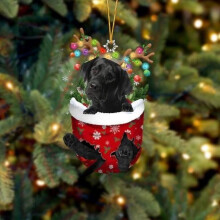 AuroraX Fun and Cute Dog Christmas Stocking Ornament, Perfect Hanging Decoration for Christmas Tree(3"X2") Xmas Stocking