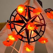 Outdoor Halloween Lights – 59in, 10-LED Battery-Powered Orange String Lights, Compatible with Dahlias Decor, for Indoor/Outdoor Fall, Harvest &