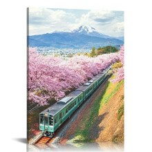 Asian Nature Landscape Canvas Wall Art, 16x20in – Compatible with Living Room, Bathroom, Bedroom & Office Decor