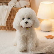 Plush Poodle Dog Toy 35cm Lifelike Soft Stuffed Animal
