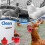 Gravity Feed Chicken Watering Cups Set with 12 Bowls and Mounting Tools 5