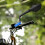 Rearview Mirror Extension Bracket for Motorcycle 2 Pcs 2