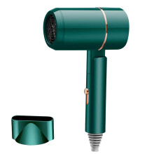 Blue Light Ionic Hair Dryer,Lightweight Silent Electric Hair Dryer with Hot & Cold Settings,Frizz Reduction