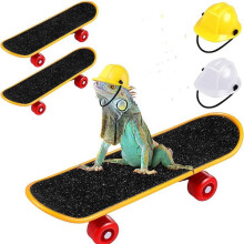 Hot Selling Pet Helmet Skateboard Set Of 3 Pet Engineering Hat Hard Hat Hamster Lizard Parrot Toy Toys for 3,4,5,6,7 Year Olds