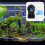 Automatic Fish Feeder Assorted Colors Aquarium Auto Feeder with Adjustable Food Dispense 6