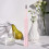 Electric Toothbrush for Adults Rechargeable 6 Modes 40000 4