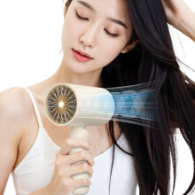 High Power Hair Dryer, Fast Drying Hair Styling Tool, Low Noise Hair Dryer, Intelligent Temperature Control Blow Dryer for Home Use