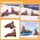 Ocean Animals Figures Sticker Set Light Brown 2 Pcs 3