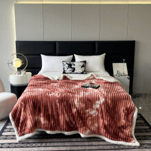 Sherpa Fleece Queen Blanket, Machine Washable, Double-Layer Extra Warm & Heavy, Soft Flannel Plush, 59.06" 39.37"