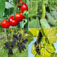 Polyester Climbing Netting Square Lattice Mesh Heavy-Duty Trellis for Vines, Flowers, and Vegetables Vertical Garden Support